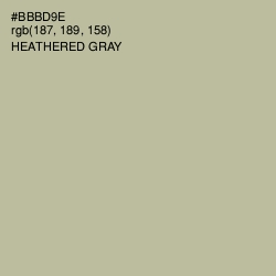 #BBBD9E - Heathered Gray Color Image